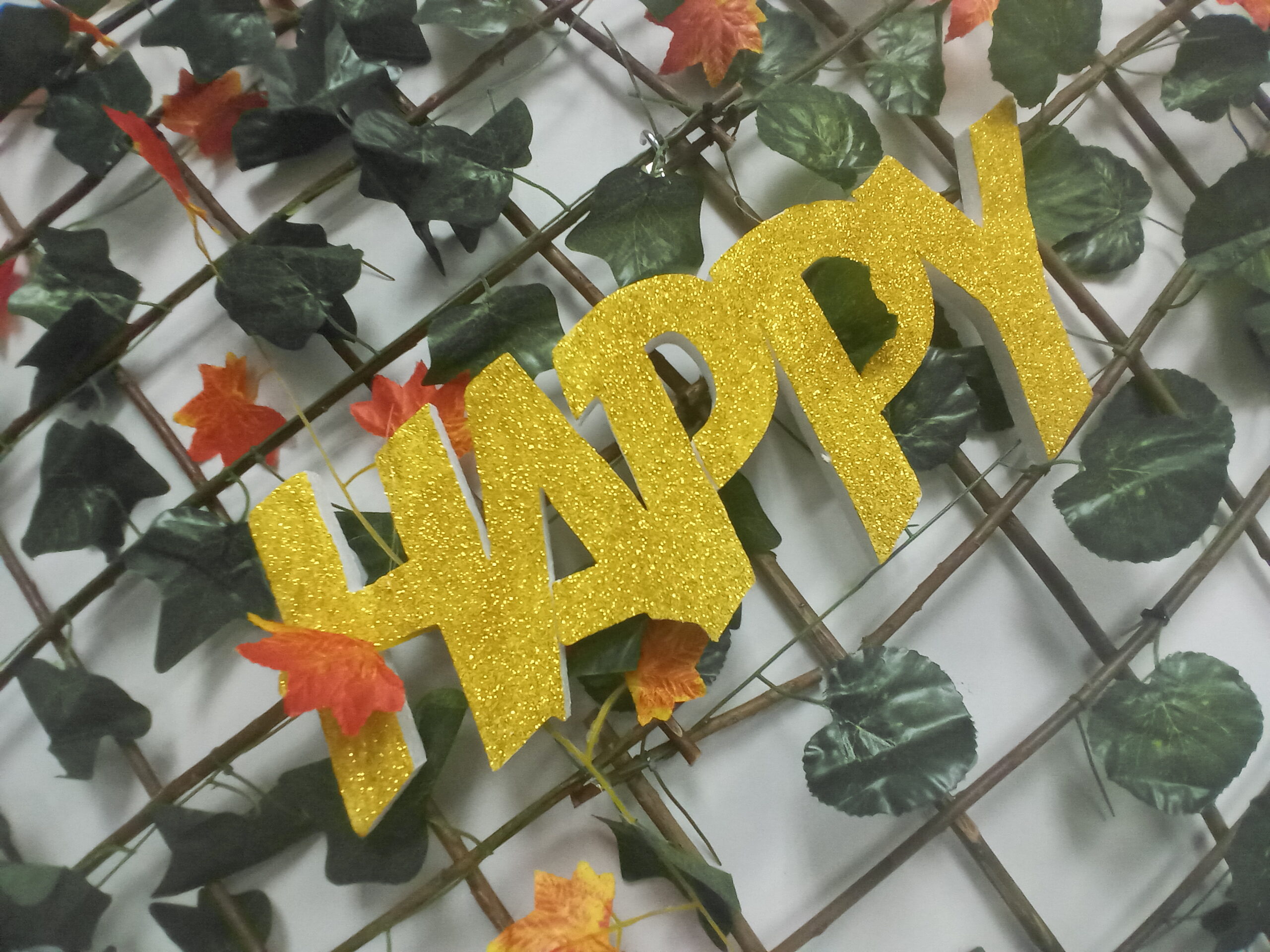 Function Room - Image 3