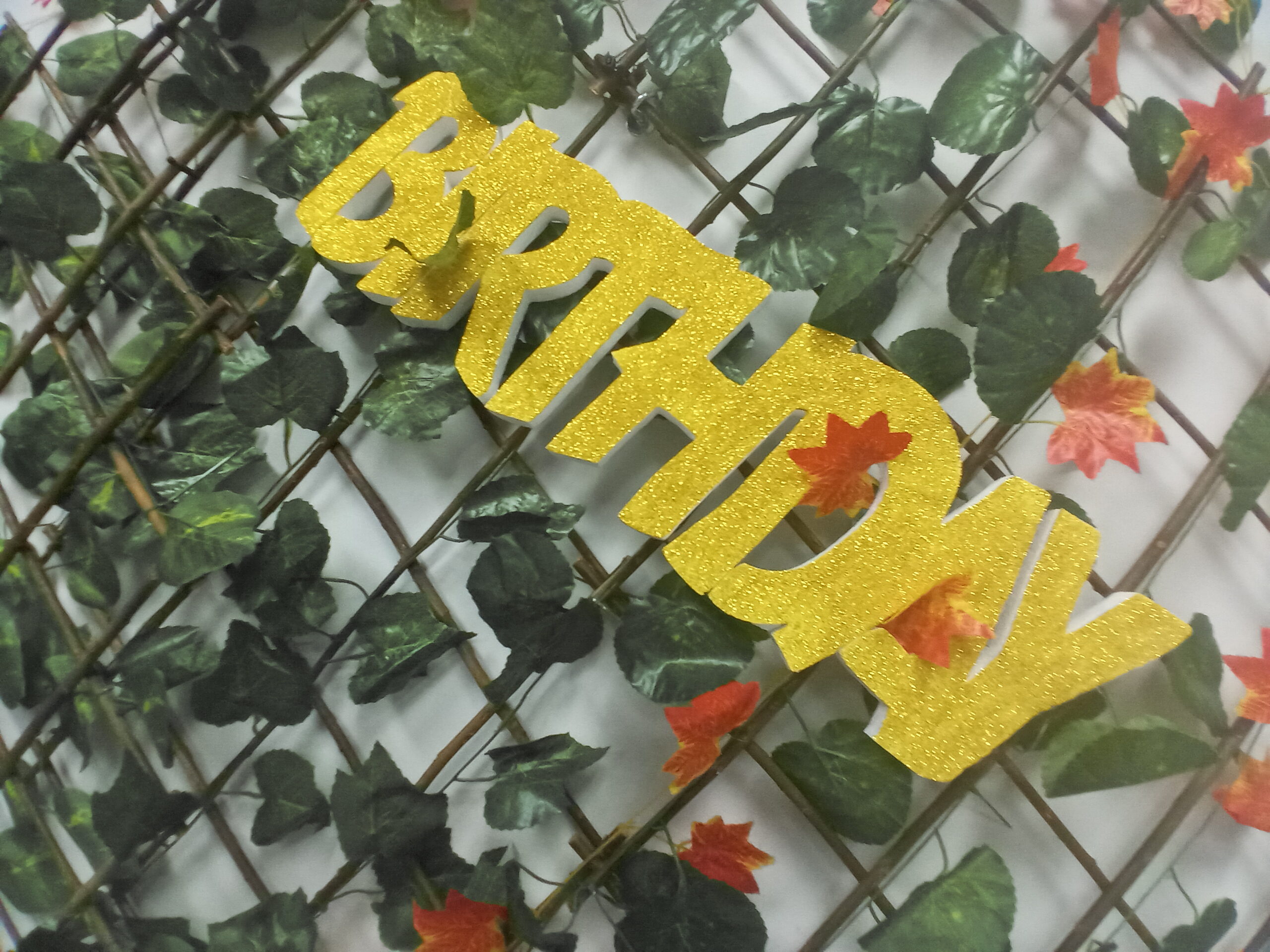 Function Room - Image 4