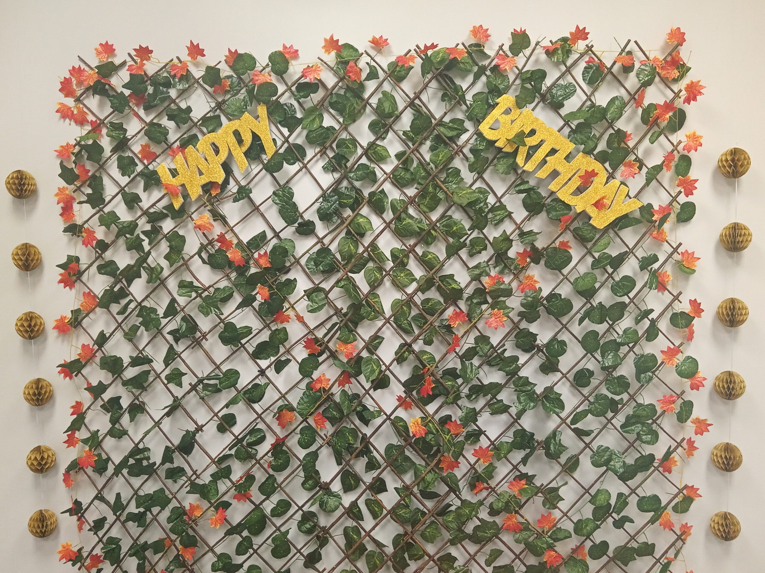 Function Room - Image 5